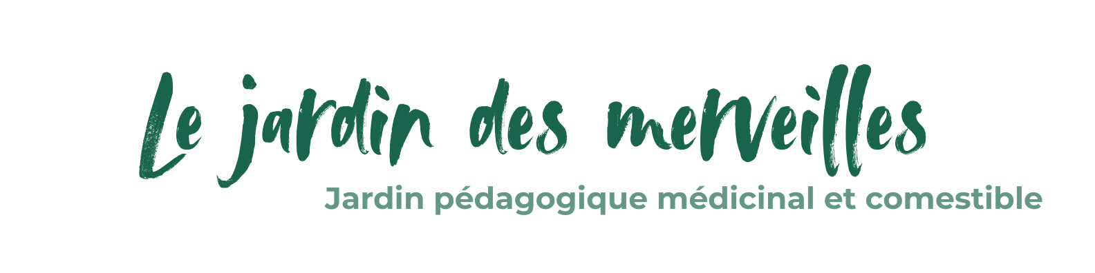 Bannière
