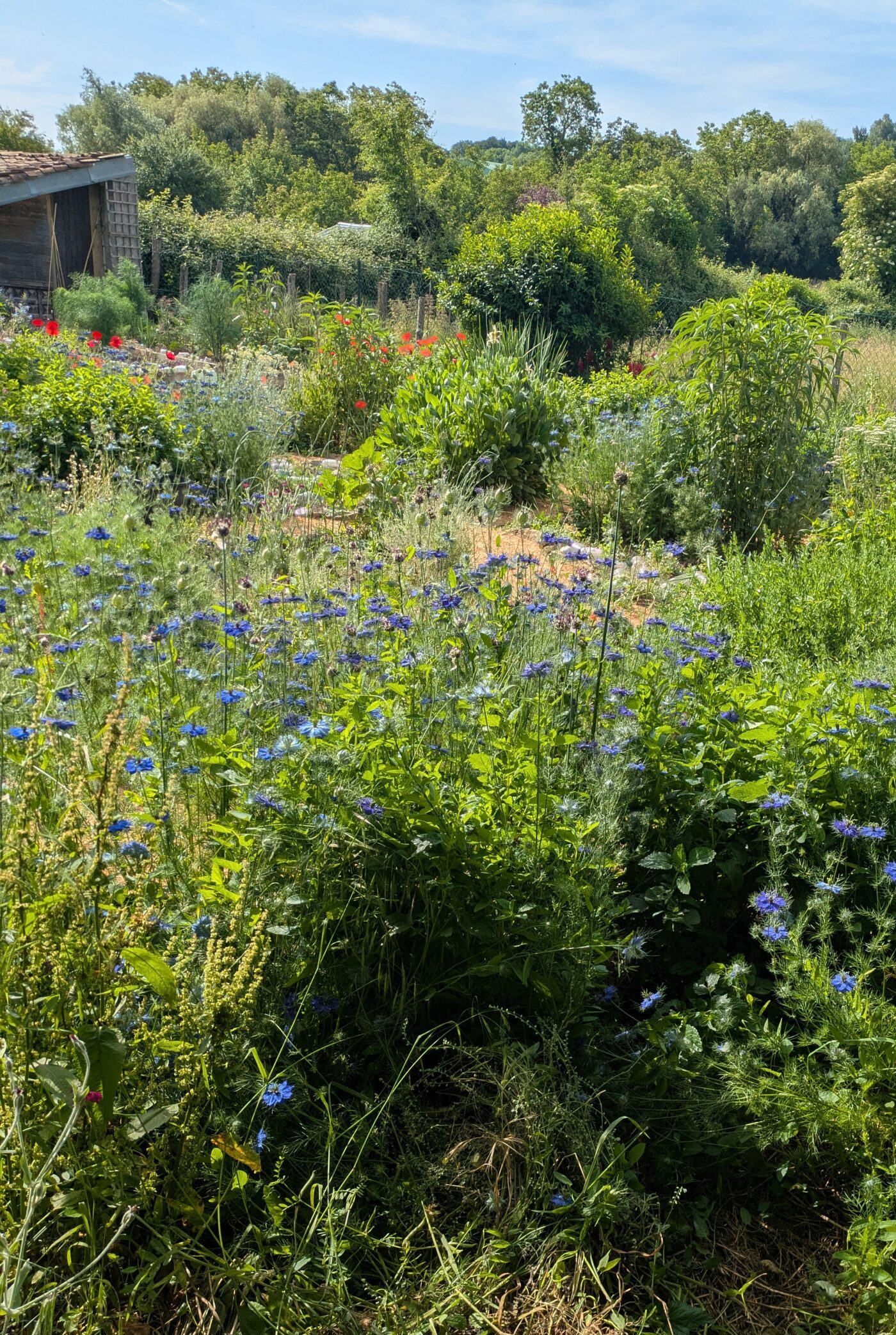 Vue d’ensemble du Jardin des Merveilles, jardin pédagogique en Nord‑Isère.</p>
<p>